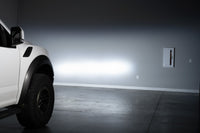 Thumbnail for Diode Dynamics 17-20 Ford Raptor SS5 Grille CrossLink Lightbar Kit Sport - White Combo