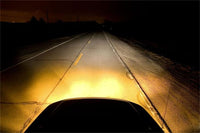 Thumbnail for Putco Jet Yellow H1 - Pure Halogen HeadLight Bulbs