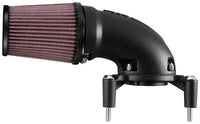 Thumbnail for K&N 01-17 Harley Davidson Softail / Dyna FI Performance Air Intake System