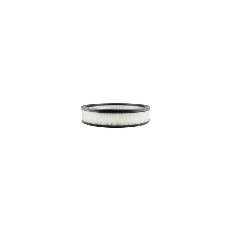 Baldwin PA2009 Air Filter Element