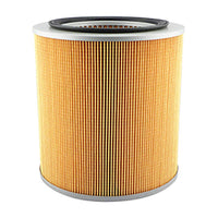 Thumbnail for Baldwin PA2895 Air Element