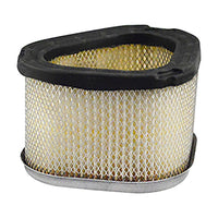 Thumbnail for Baldwin PA30031 Oval Air Element