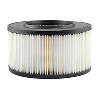 Thumbnail for Baldwin PA3773 Air Element