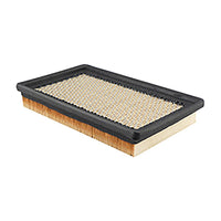 Thumbnail for Baldwin PA4079 Panel Air Element