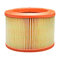 Thumbnail for Baldwin PA4389 Air Element