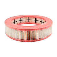 Thumbnail for Baldwin PA5689 Cab Air Element