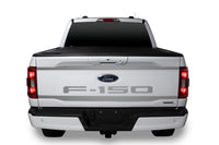 Thumbnail for Putco 2021 Ford F-150 Ford Lettering (Cut Letters/Stainless Steel) Tailgate Emblems