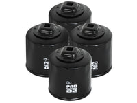 Thumbnail for aFe Pro GUARD D2 Oil Filter 02-17 Nissan Cars L4/  04-17 Subaru Cars H4 (4 Pack)