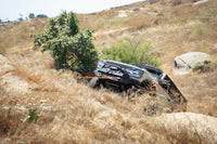 Thumbnail for DV8 Offroad Elite Series D-Ring Shackles - Pair (Black)