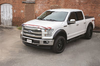 Thumbnail for Stampede 15-20 Ford F-150 (Excl. Raptor) Vigilante Premium Hood Protector - Flag