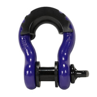 Thumbnail for Yukon D-Ring Shackle - 3/4in Diameter - 9500lbs Rating