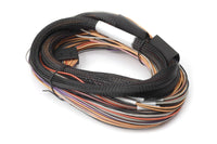 Thumbnail for Haltech IO 12 Expander Box 8ft Flying Lead Harness (A/B Box)