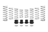 Thumbnail for Eibach Pro-UTV 2020 Polaris RZR Pro XP (4 Seat Ultimate) Stage 3 Performance Springs