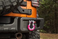 Thumbnail for Rugged Ridge Pink 3/4in D-Ring Isolator Kit