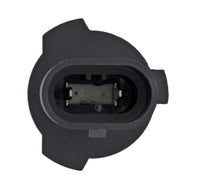 Thumbnail for Hella Bulb 9005XS 12V 100W XEN WHT XB (2)