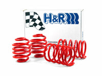 Thumbnail for H&R 85-91 BMW 325e/325i/325is E30 Race Spring (Non Cabrio/Tuner Fitment)
