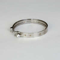 Thumbnail for Donaldson P210110 CLAMP, V-BAND 5.25 IN (133 MM)