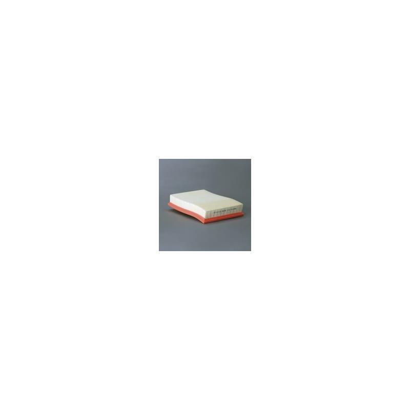 Donaldson P535089 Air Filter