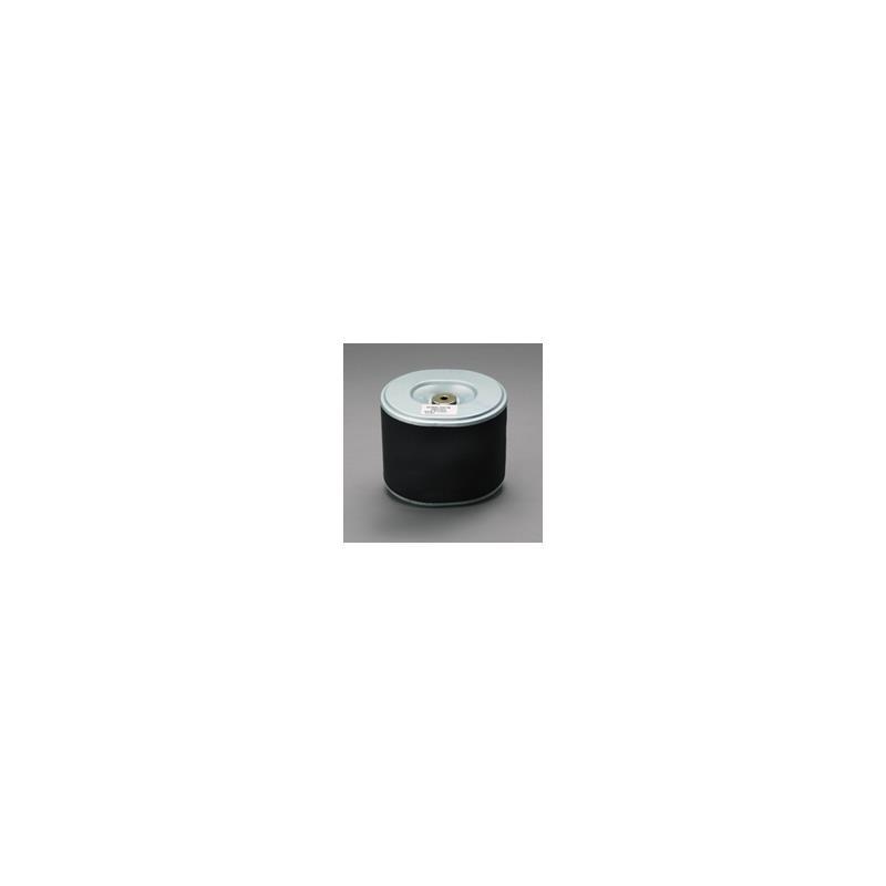 Donaldson P607254 Air Filter