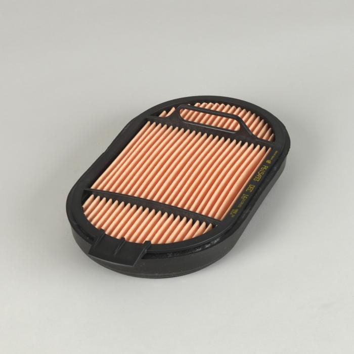 Donaldson P615493 Air Filter