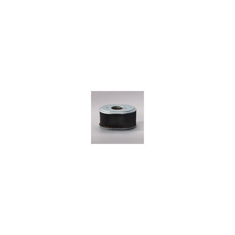 Donaldson P786789 Air Filter