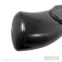 Thumbnail for Westin 19-20 Chevrolet Silverado/GMC Sierra 1500 Double Cab PRO TRAXX 5 Oval Nerf Step Bars - Black