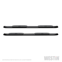 Thumbnail for Westin 2019 Ram 1500 Crew Cab (Excl. 1500 Classic) PRO TRAXX 4 Oval Nerf Step Bars - SS