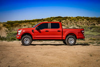 Thumbnail for ICON 21-23 Ford F150 Tremor 2.5-3in 2.5 Series VS RR Coilover Kit