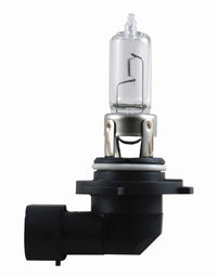 Thumbnail for Hella Bulb 9005 12V 65W P20D T4 +50 (2)