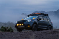 Thumbnail for Rigid Industries D-SS Spot w/ Amber PRO Lens (Pair)