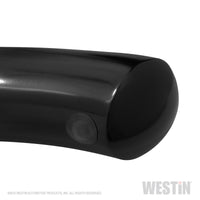 Thumbnail for Westin 19-20 Chevrolet Silverado / GMC Sierra 1500 Reg Cab PRO TRAXX 4 Oval Nerf Step Bars - Black