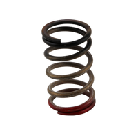 Thumbnail for Turbosmart Gen-V WG40/45 HP 40 PSI Spring Upgrade - Black/Red