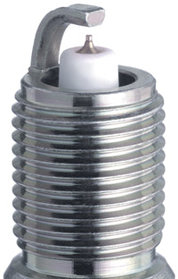 Thumbnail for NGK GP Platinum Spark Plug Box of 4 (TR55GP)