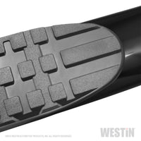 Thumbnail for Westin 19-20 Chevrolet Silverado / GMC Sierra 1500 Reg Cab PRO TRAXX 4 Oval Nerf Step Bars - Black