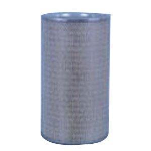 Fleetguard AF1819 Air Filter