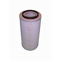 Thumbnail for Fleetguard AF25043M Air Filter