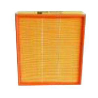 Thumbnail for Fleetguard AF25306 Air Filter