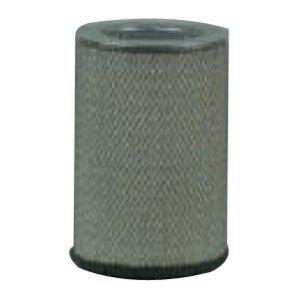 Fleetguard AF25416 Air Filter