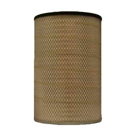 Fleetguard AF25466M Air Filter