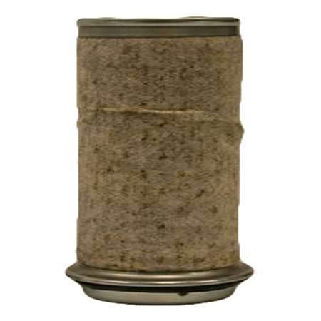 Fleetguard AF25490 Air Filter