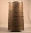 Fleetguard AF25549 Air Filter