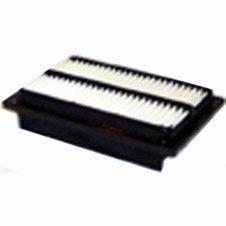 Fleetguard AF25573 Air Filter
