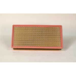 Fleetguard AF25742 Air Filter
