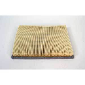 Fleetguard AF26131 Air Filter