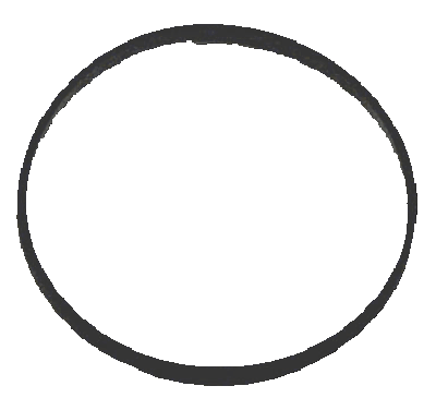 Wix 15149 Gasket