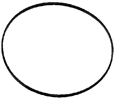 Wix 15193 Gasket