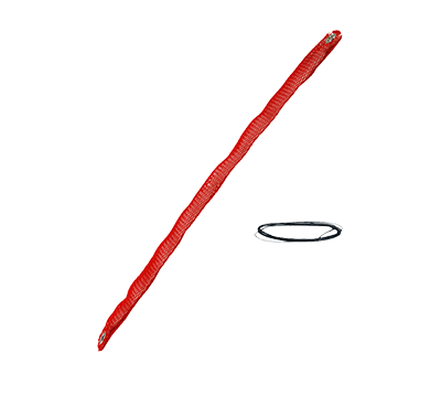 Wix 24581 Water Removal Kit