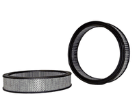 Thumbnail for Wix 46974R Air Filter